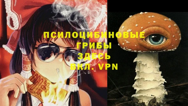 a pvp Вязьма