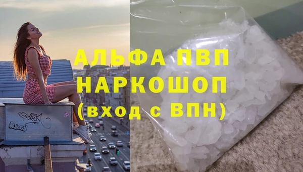 spice Вязники