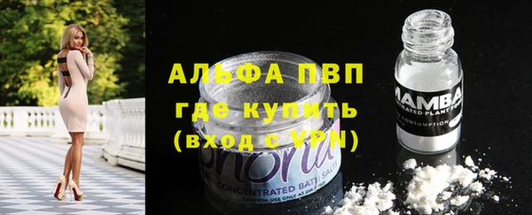 spice Вязники