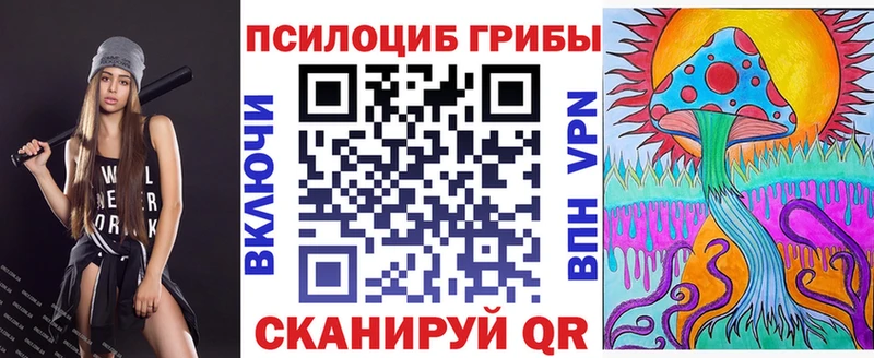 кракен ТОР  Бердск  Псилоцибиновые грибы Psilocybine cubensis 